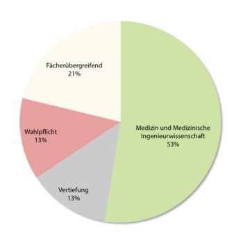 Prozentuale Anteile der Modulgruppen im Masterstudiengang