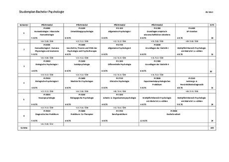 Curriculum ab WS 13/14