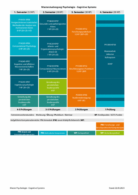 Curriculum Master Psychologie - Cognitive Systems