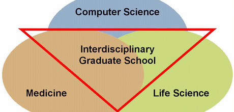 Informatik in Medizin und Lebenswissenschaften
