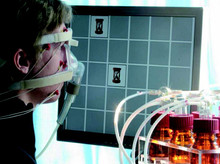 Lernen des Memory-Spiels mit Rosenduft