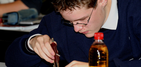 Spitzenleistungen auf der Mathe-Olympiade