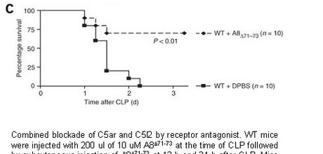 Cecum ligation and puncture model (CLP)