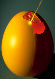 Millimeterarbeit eines Farbstoff-Lasers